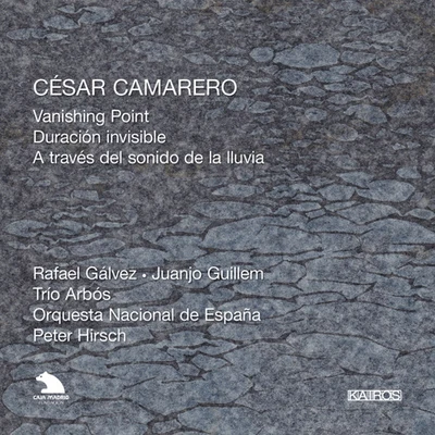 CAMARERO, C.: Vanishing PointDuracion invisibleA traves del sonido de la lluvia (Spanish National Orchestra, Hirsch) 专辑 Walter Zimmermann/Hanspeter Kyburz/Johannes Ernst/Peter Hirsch/Ensemble UnitedBerlin