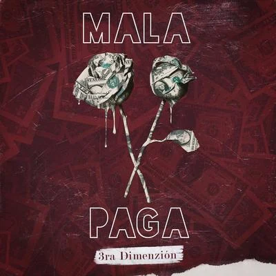 3ra Dimenzion Mala Paga