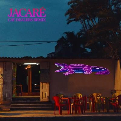 Jacaré (Cat Dealers Remix) 專輯 Sinego/Sofi Tukker/Bomba Estéreo