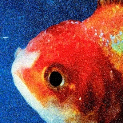 Vince Staples Big Fish Theory