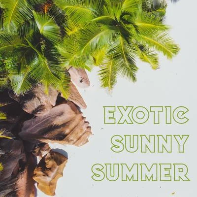 Exotic Sunny Summer – Chillout Bar Lounge, Sensual Party Playlist, Chillax Lounge, Summer Infinite Obsession, Chill Out Midnight Vibes, Tropical Rest 專輯 Ibiza Lounge Club/Siesta Electronic Chillout Collection/Good Energy Club