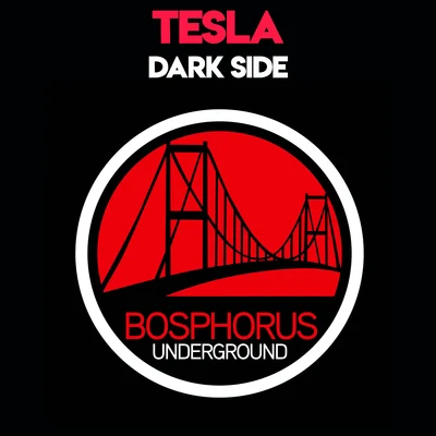 Dark Side 專輯 Tesla