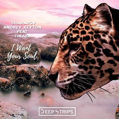 I Want Your Soul 專輯 Andrey Keyton