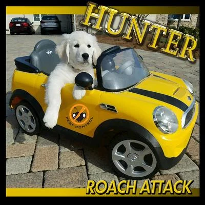 Roach Attack 專輯 Hunter/Smith/Ivory Joe Hunter/Scott/Brown