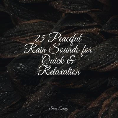 25 Peaceful Rain Sounds for Quick & Relaxation 專輯 Natural Sample Makers