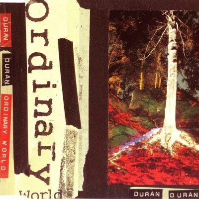 Ordinary World 專輯 D.A.F./Duran Duran/The Sound/Killing Joke/The Human League