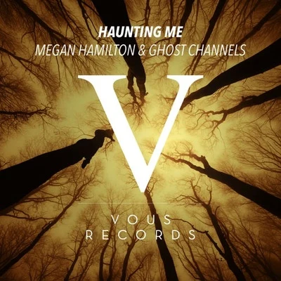 Haunting Me (Original Mix) 專輯 Wes Writer/Megan Hamilton/Defunk/Megan Hamilton & Wes Writer