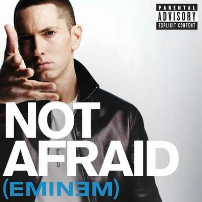 Not Afraid 專輯 Eminem