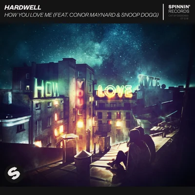 Hardwell/Snoop Dogg/Conor Maynard How You Love Me