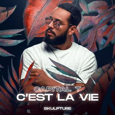 C&#x27;est la vie 专辑 Capital T/Mixey