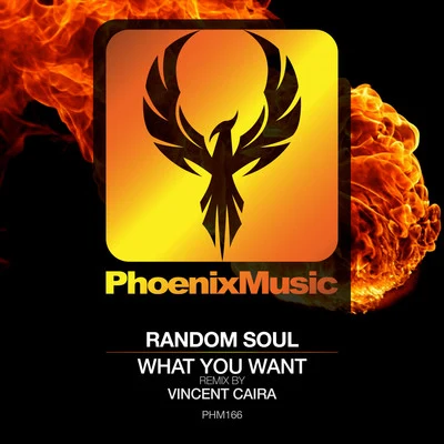 What You Want (Vincent Caira Remix) 專輯 Random Soul