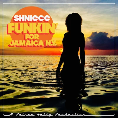 Funkin&#x27; for Jamaica (N.Y) 专辑 Shniece McMenamin