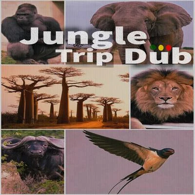 BlackWhite Brothers Jungle Trip Dub