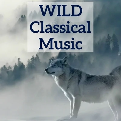 Antonio Vivaldi Wild Classical Music