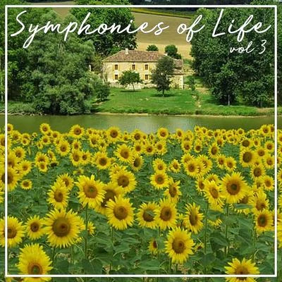 Symphonies Of Life, Vol. 3 - Mozart: The Mozart Album 专辑 Anke Vondung/Gabriela Scherer/Florian Helgath/Concerto Koln/Tobias Berndt