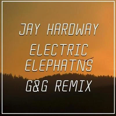 Electric Elephants (G&G Remix) 专辑 G&g