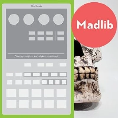 Madlib The Beats (Our Vinyl Weighs a Ton Soundtrack)