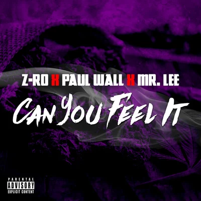 Can You Feel It 專輯 Z-Ro/Slim Thug