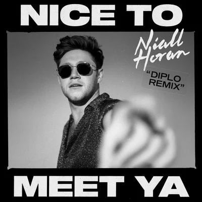 Nice To Meet Ya (Diplo Remix) 專輯 Niall Horan