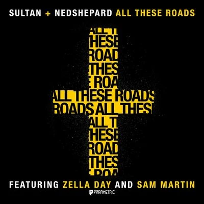 All These Roads (feat. Zella Day and Sam Martin) 專輯 Ned Shepard