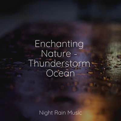 Enchanting Nature - Thunderstorm Ocean 专辑 Buddhist Meditation Music Set