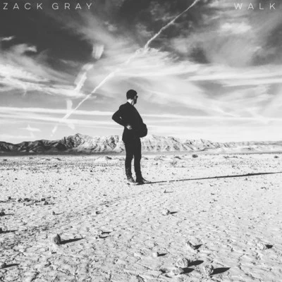 Walk 專輯 Falling North/Zack Gray