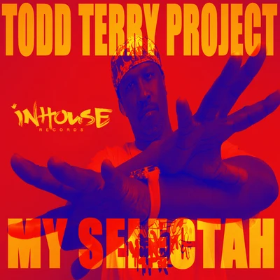 Todd Terry Project Todd Terry Project - My Selectah