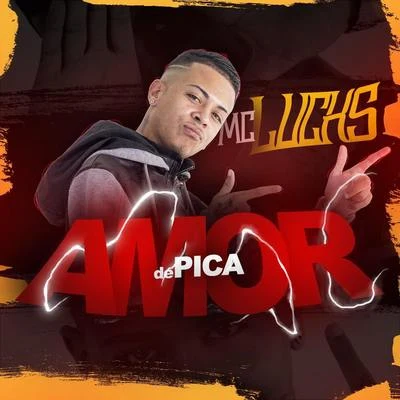 Amor de Pica 專輯 DJ PL/MC Lucks