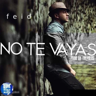 No Te Vayas 專輯 Maxiolly/Feid