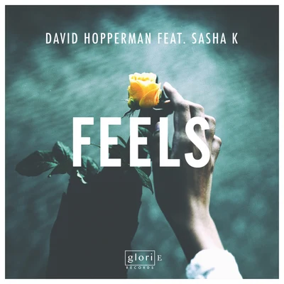 Feels 专辑 David Hopperman