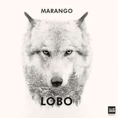 Lobo 专辑 Marango/Rasel