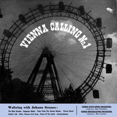 Vienna Calling No 1 专辑 Josef Leo Gruber/The Vienna State Opera Orchestra