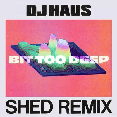 Bit Too Deep (Shed Remix) 專輯 Rex the Dog/DJ Haus