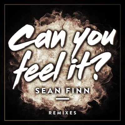 Can You Feel It (Remixes) 專輯 Sean Finn