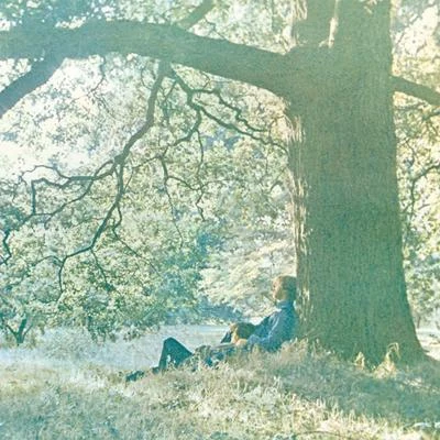 Plastic Ono Band 專輯 tUnE-yArDs/Yoko Ono