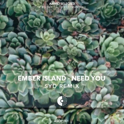 Need You (Syd Remix) 專輯 Charlotte Day Wilson/Syd/Daniel Caesar/BADBADNOTGOOD