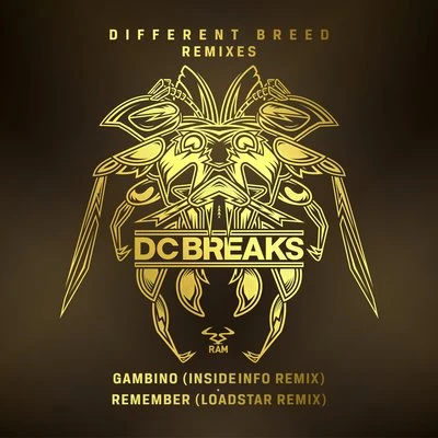 Gambino (InsideInfo Remix)Remember (Loadstar Remix) 專輯 Eva Lazarus/DC Breaks