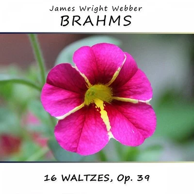 Brahms: 16 Waltzes, Op. 39 专辑 Johannes Brahms/James Wright Webber