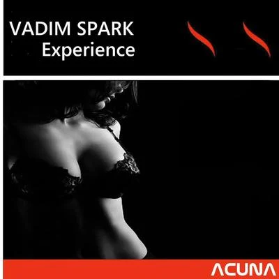 Vadim Spark Experience