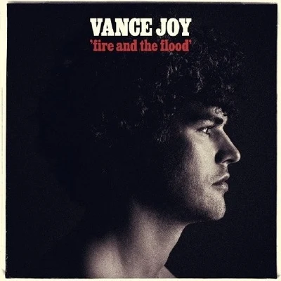 Fire and the Flood 專輯 Vance Joy