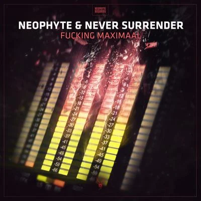 ******* Maximaal 专辑 Brutaal/Never Surrender