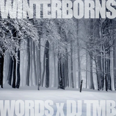 The Winterborns 专辑 Dj Tmb