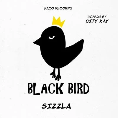 Sizzla Think Wise (Black Bird Riddim by City Kay)