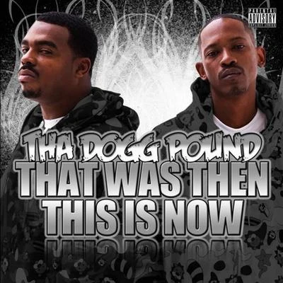 That Was Then This Is Now 专辑 Tha Dogg Pound