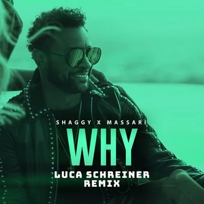 Why (Luca Schreiner Remix) 專輯 Shaggy/Ricardo Ducent/Tenchi/Moss Kena/Embody