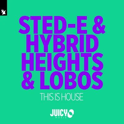 Sted-E & Hybrid Heights This Is House