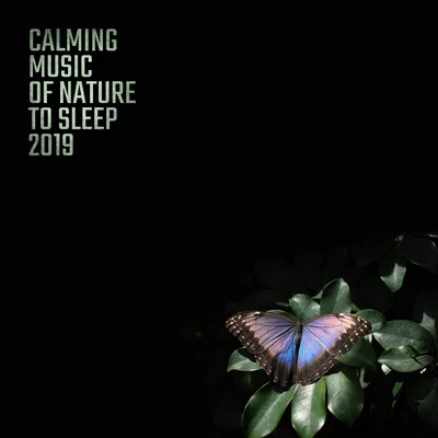 Calming Music of Nature to Sleep 2019 專輯 The Calming Sounds of Nature