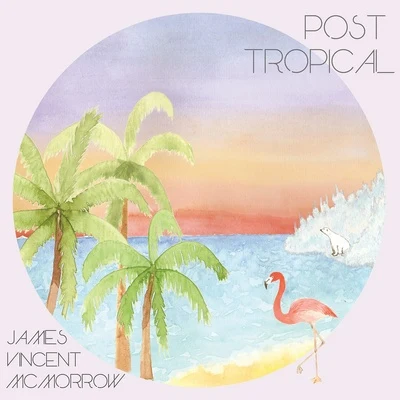 Post Tropical 专辑 James Vincent McMorrow