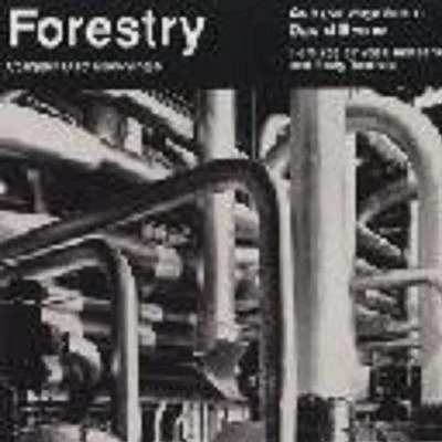 Forestry 專輯 David Byrne