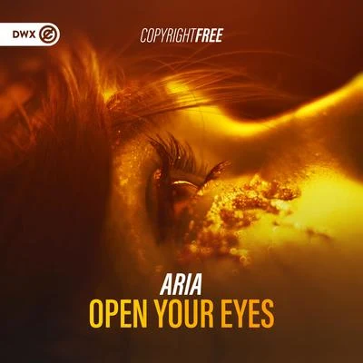 Open Your Eyes 專輯 ARIA